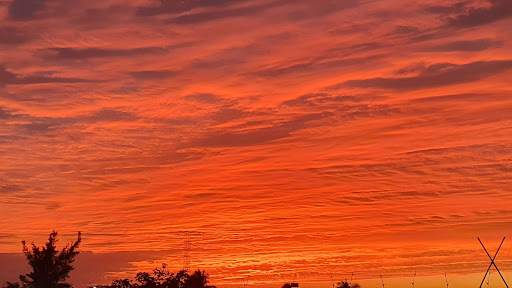 EMMS Estrategia de Marketing & Medios Sociales