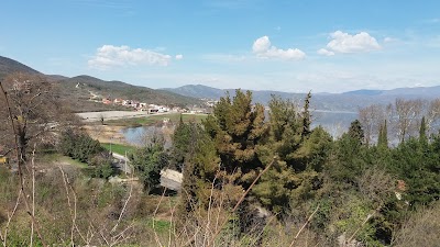 Photos of Hotel Alkaloid