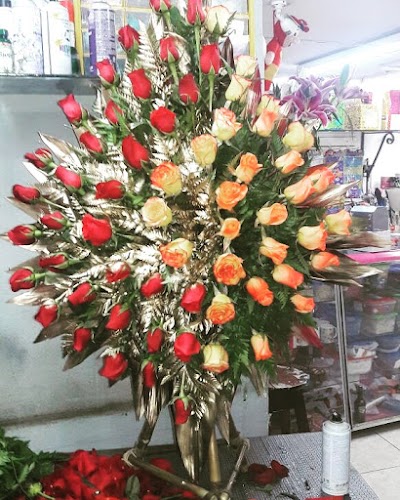 Photos of Floristeria Rosita