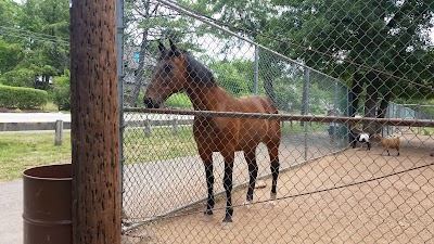 Johnson Park Zoo