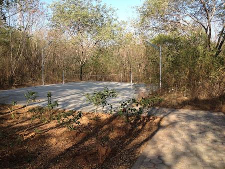 Af1qipnubdtr44 I Piimvl4pmpsgr1ylfo4a3ldtu7b=s451 K No