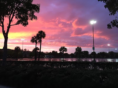 Photos of The Mall at Wellington Green