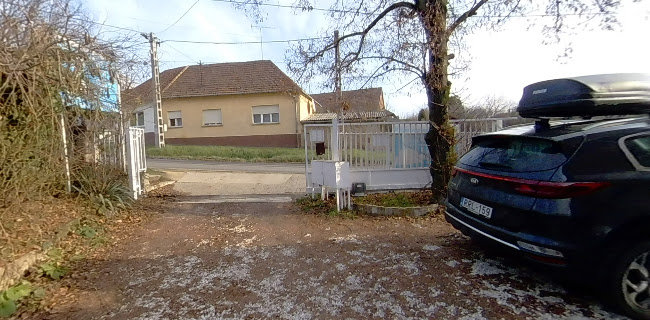 Ürömi Állatorvosi Rendelő és kutyakozmetika - Állatorvos