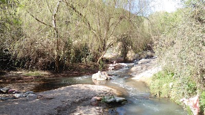 Photos of Poza de la Virgen. Parque Natural G&oacute;mez Carre&ntilde;o.