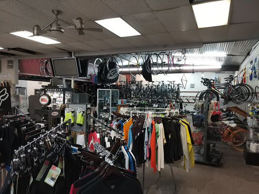 Webster Bicycle - Visual