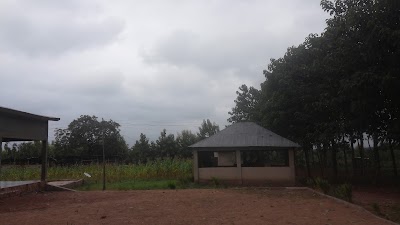 Photos of SEFER Sarl FERME ROGATIEN