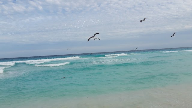 Playa Delfines