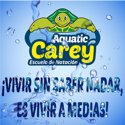 Aquatic Carey Escuela de Natación (clases y talleres de natación)