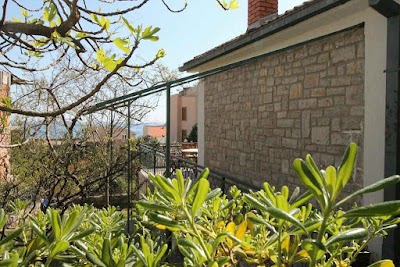 Photos of kuca Bojana