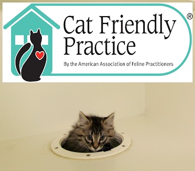 veterinary-care