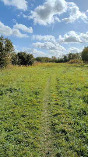 Ossermeer-Bos (Oude Osse zwembad) Gallery - Netherlands