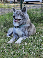 Ookami No Ame à Grosmagny