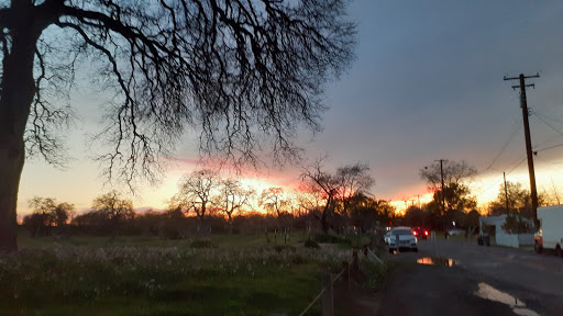 John Mackey Memorial Park - Thumbnail