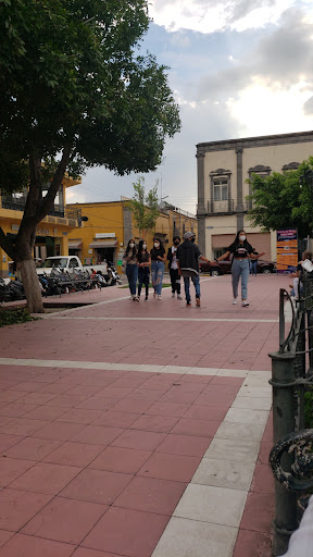Zapaterías Exclusivas Tere