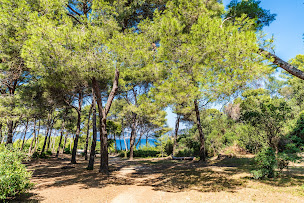 Photo n°87 de Camping Olbia - Camping Hyères à Hyères (Appartement de vacances)