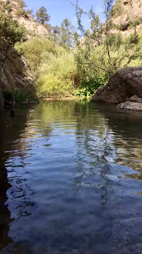 Engolidor - Thumbnail