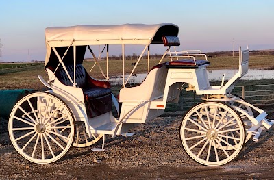 Wild Heart Carriages