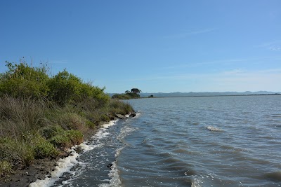 Patoku Park