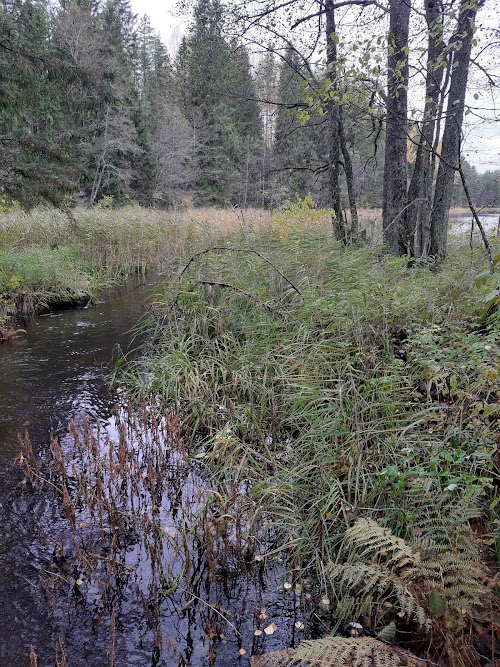 Ievērojamu vietu apskate