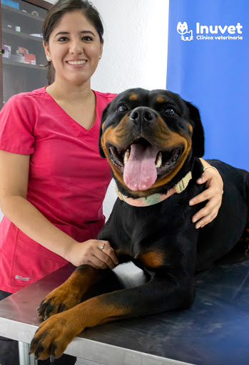 Inuvet Clínica veterinaria