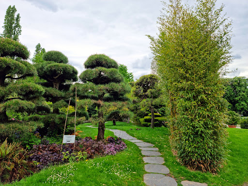 Japanischer Garten im Blühenden Barock