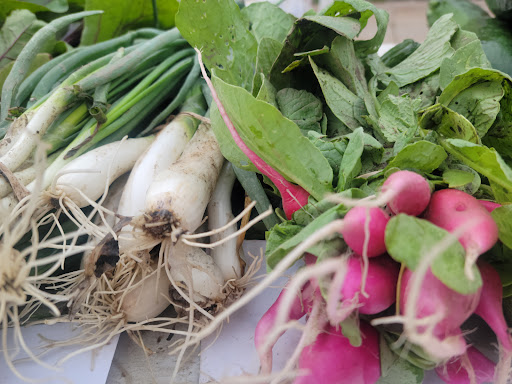 Muscatine Area Farmers Market - Thumbnail