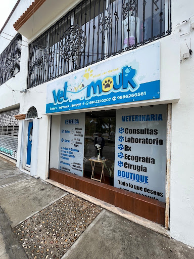 VetAmour veterinaria