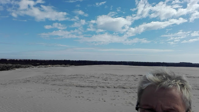 https://www.enjoynordjylland.de/nordjutland/reiseplanung/rabjerg-mile-gdk640523