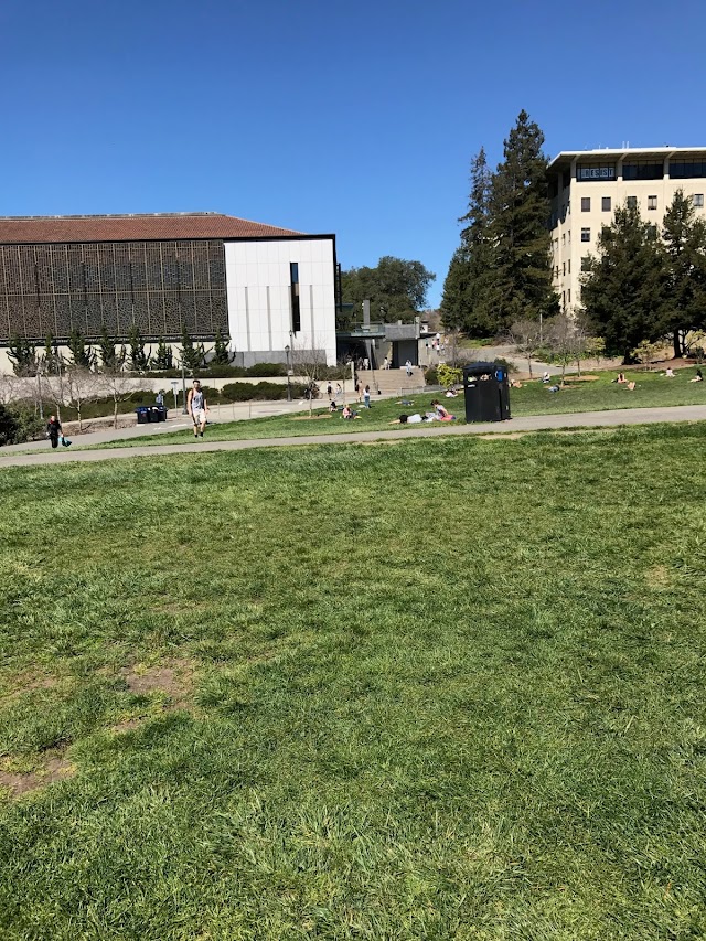 Memorial Glade