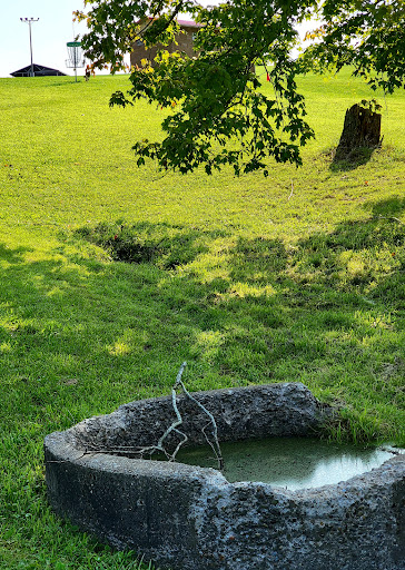 Bud Billiard Disc Golf Course - Thumbnail