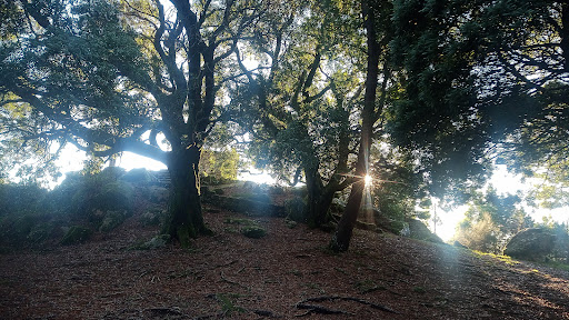 Mirador monte aloia - Thumbnail
