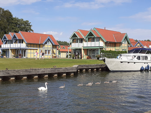 GROSSPARKPLATZ AM HAFEN RHEINSBERG - Thumbnail
