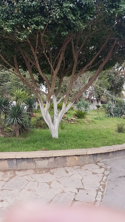 Photos of Dounia Garden