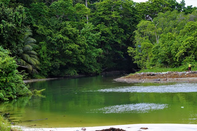 Radhanagar Beach