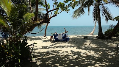Photos of Finca