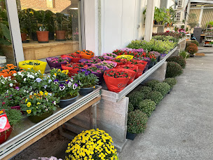 Photo n°10 de Fleurs Bruzzese à Leforest (Fleuriste)