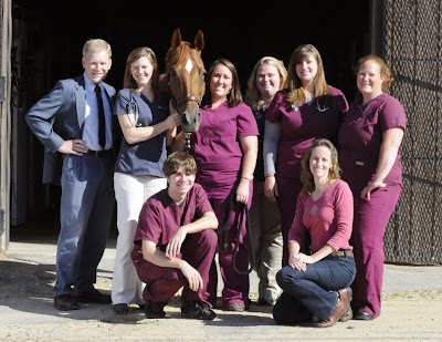 Myhre Equine Clinic