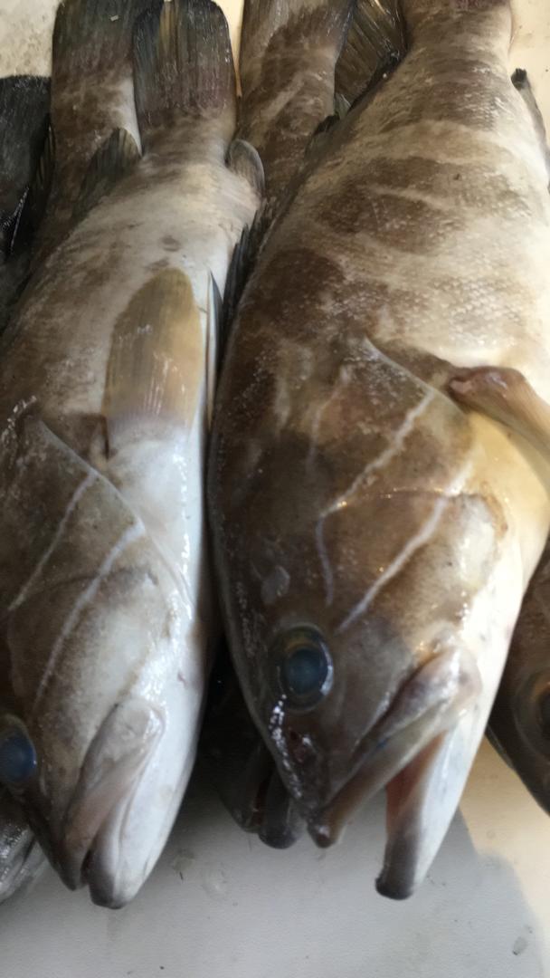 Restaurant Chez Ndioufa Terrasse