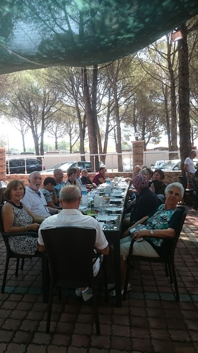 Photos of Altınova Otogar