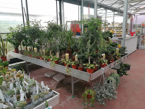 Floriade SNC - Thumbnail