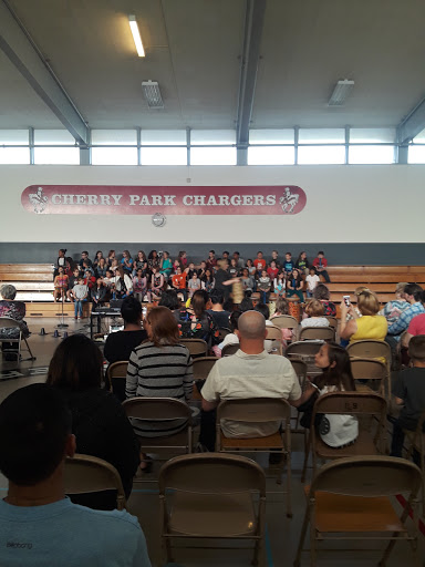 Cherry Park Elementary School - Visual