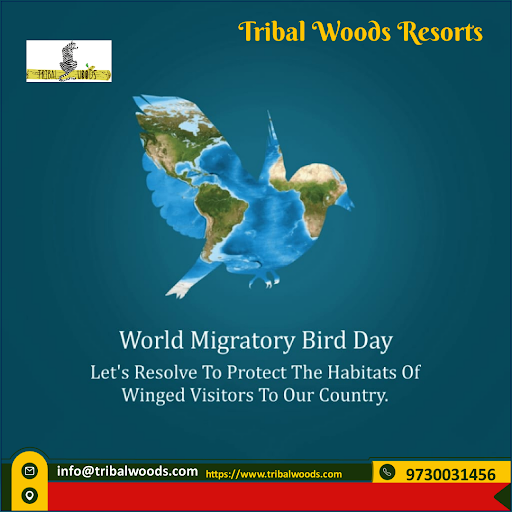 #hotelonkhatiyagate #tribalwoodskanha #besthotelinkanha #tribalwoodsresort #ResortInKanha post image
