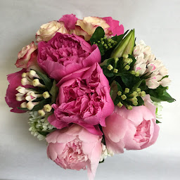 Photo n°8 de Paradis des Fleurs à Cormeilles-en-Parisis (Fleuriste)
