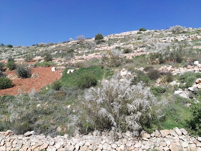 Prophet Hazzir Shrine مقام النبي حزير