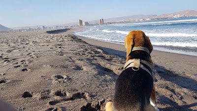 Photos of Las Machas Beach
