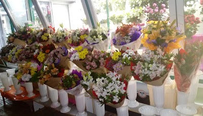 Photos of Piata de flori