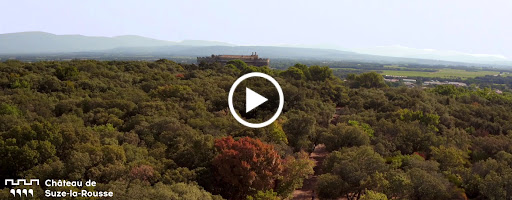 Photo de Château de Suze-la-Rousse à Suze-la-Rousse (26790)