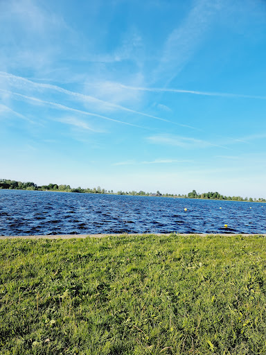 Hondenstrandje - Thumbnail