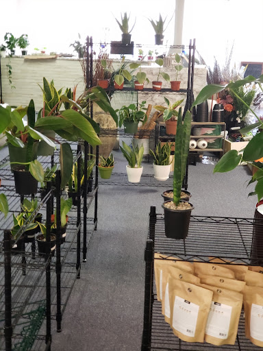 Plants and Things LLC