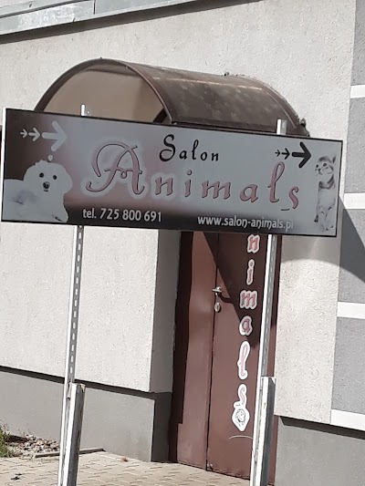 Animals Salon Pielegnacji Psow I Kotow Jelenia Gora Lower Silesia 48 725 800 691